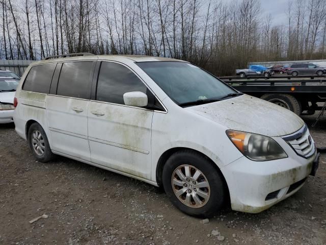 2008 Honda Odyssey EXL