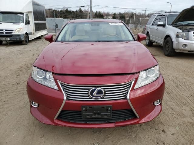 2014 Lexus ES 300H