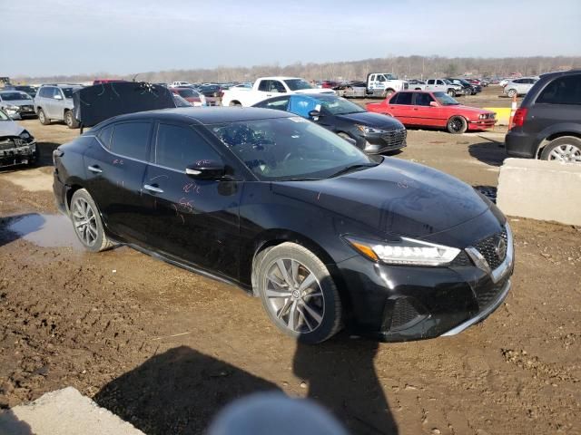 2020 Nissan Maxima SV