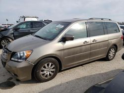 Honda salvage cars for sale: 2009 Honda Odyssey EXL