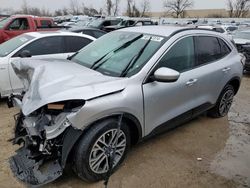 2020 Ford Escape SEL for sale in Bridgeton, MO