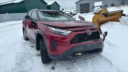 Salvage cars for sale from Copart Montreal Est, QC: 2023 Toyota Rav4 XLE