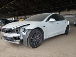 Salvage cars for sale from Copart Phoenix, AZ: 2019 Tesla Model 3