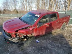 Salvage cars for sale from Copart Candia, NH: 2021 Chevrolet Silverado K1500 Trail Boss Custom