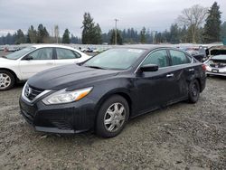 Salvage cars for sale at Graham, WA auction: 2016 Nissan Altima 2.5