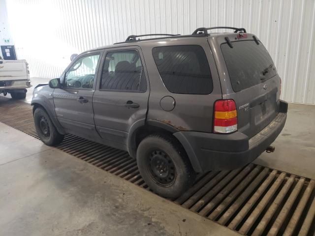 2002 Ford Escape XLT