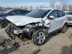 Salvage cars for sale at Bridgeton, MO auction: 2013 Ford Escape SE