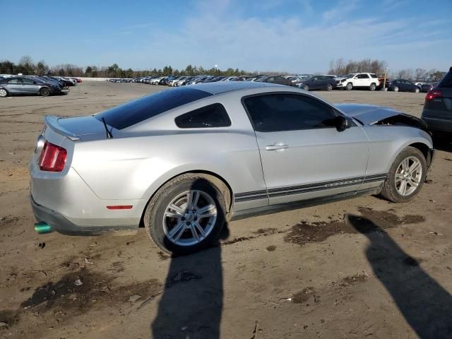 2010 Ford Mustang