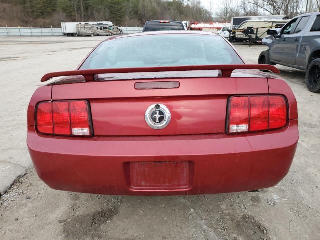 2005 Ford Mustang