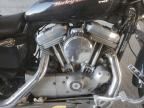 2005 Harley-Davidson XL883 C