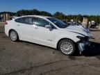 2016 Ford Fusion SE Hybrid