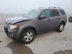 2011 Ford Escape XLT for sale in Kansas City, KS