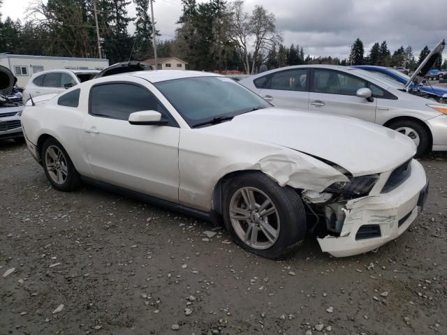 2010 Ford Mustang