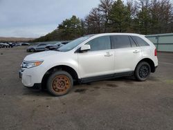 Ford Vehiculos salvage en venta: 2011 Ford Edge Limited