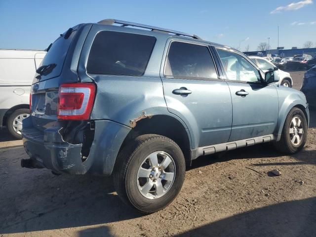 2011 Ford Escape Limited