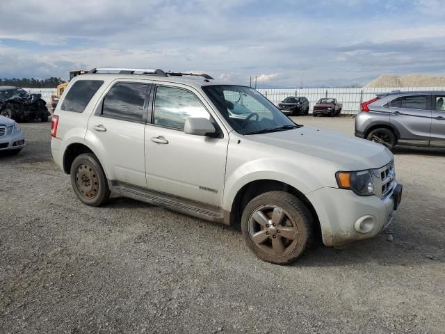 2008 Ford Escape Limited