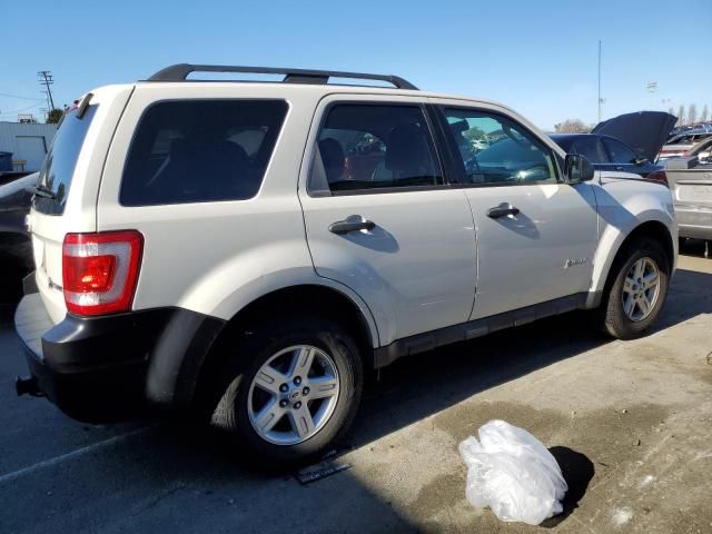 2009 Ford Escape Hybrid