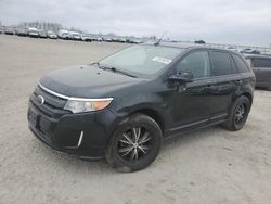 Salvage cars for sale at Earlington, KY auction: 2013 Ford Edge Sport