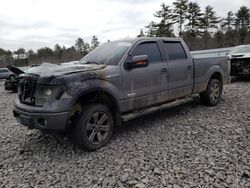 Ford f150 Supercrew salvage cars for sale: 2014 Ford F150 Supercrew