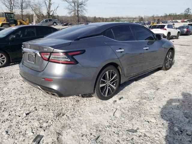 2021 Nissan Maxima SV