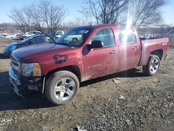 Salvage trucks for sale at Baltimore, MD auction: 2013 Chevrolet Silverado K1500 LS
