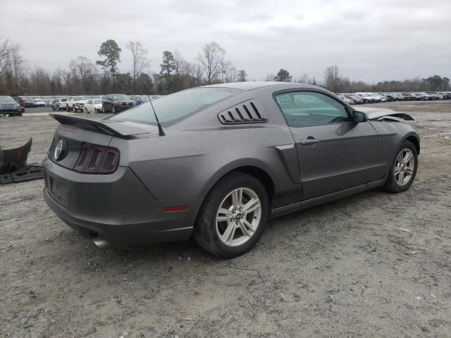 2013 Ford Mustang