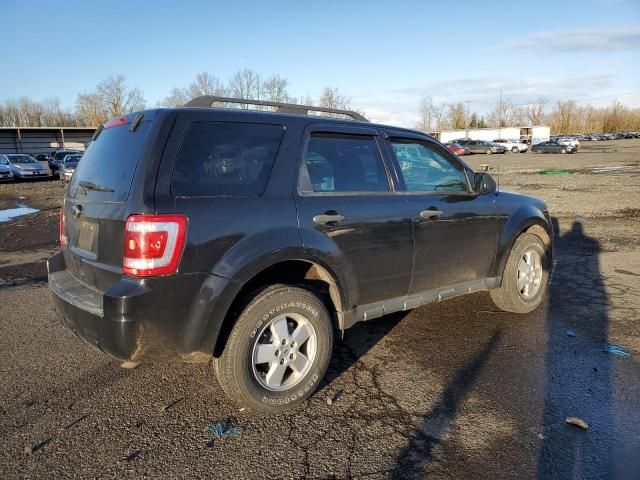 2011 Ford Escape XLT