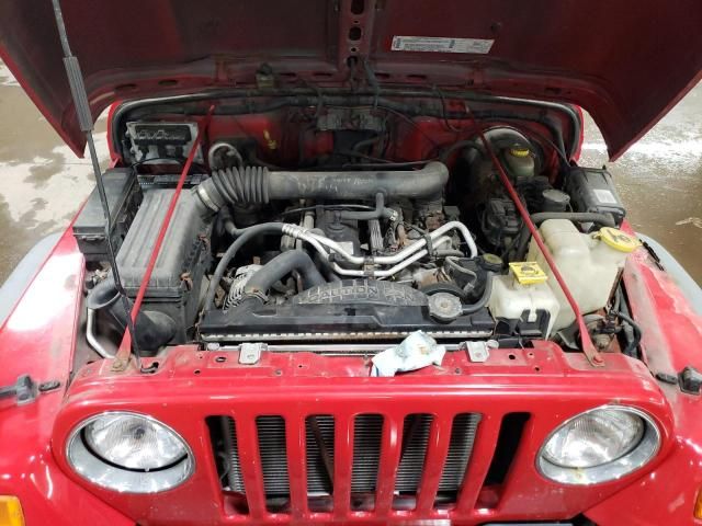 2002 Jeep Wrangler / TJ X