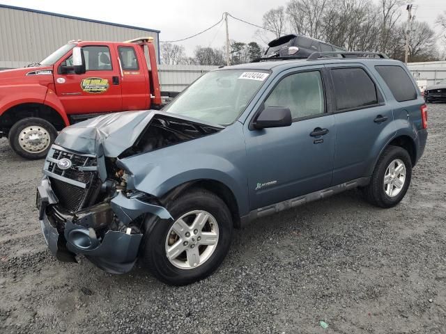 2011 Ford Escape Hybrid