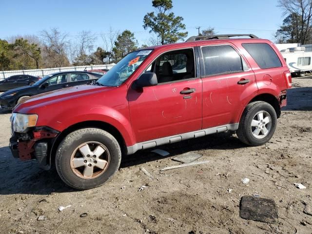 2009 Ford Escape XLT