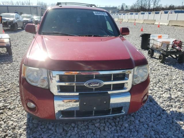 2010 Ford Escape Limited