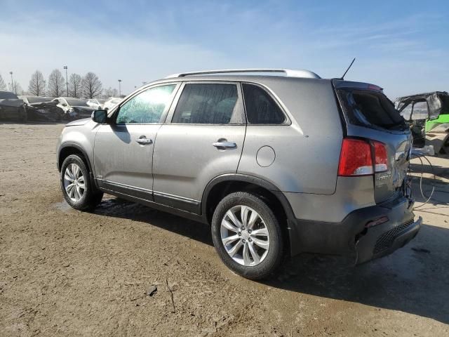 2011 KIA Sorento Base