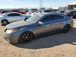 Salvage cars for sale from Copart Phoenix, AZ: 2011 Acura TL