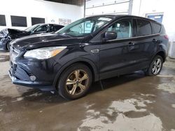 Salvage cars for sale from Copart Blaine, MN: 2015 Ford Escape SE