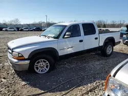 Carros salvage a la venta en subasta: 2001 Dodge Dakota Quattro