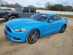 Salvage cars for sale at Theodore, AL auction: 2017 Ford Mustang