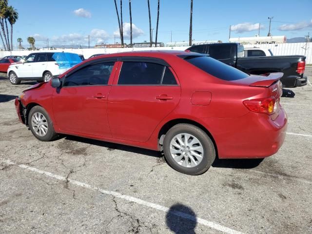 2010 Toyota Corolla Base