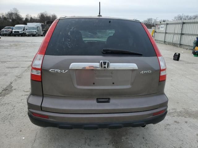 2010 Honda CR-V EXL