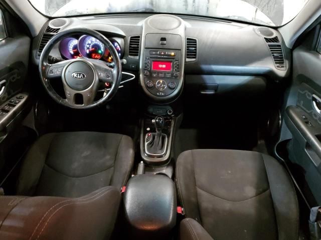 2013 KIA Soul +