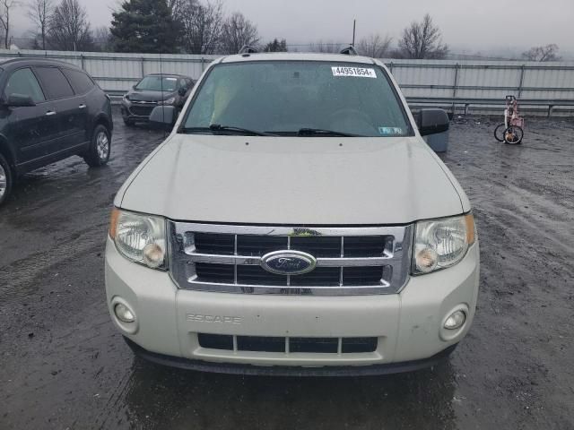 2009 Ford Escape XLT