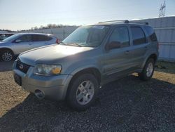 2006 Ford Escape Limited en venta en Anderson, CA