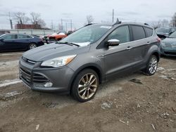 Salvage cars for sale from Copart Lansing, MI: 2014 Ford Escape SE