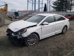 Salvage cars for sale from Copart Windsor, NJ: 2019 Hyundai Sonata SE