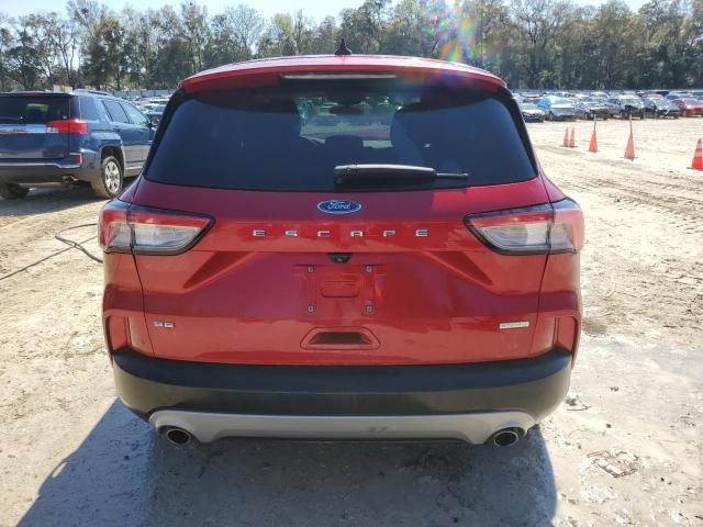 2020 Ford Escape SE