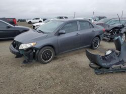 Salvage cars for sale from Copart Vallejo, CA: 2010 Toyota Corolla Base