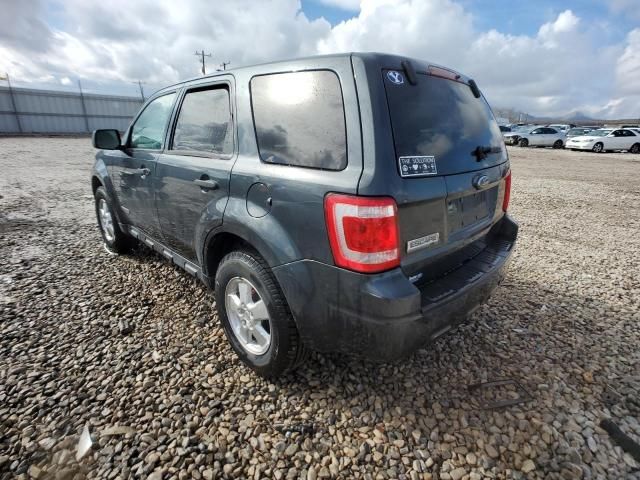 2008 Ford Escape XLT