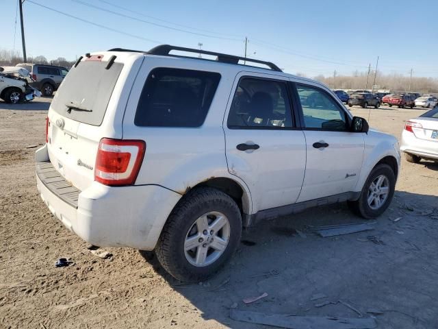 2010 Ford Escape Hybrid