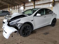 Salvage cars for sale at Phoenix, AZ auction: 2021 Tesla Model Y