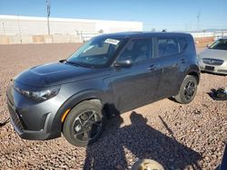 Salvage cars for sale at Phoenix, AZ auction: 2024 KIA Soul EX