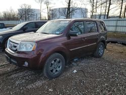 Salvage cars for sale from Copart Central Square, NY: 2011 Honda Pilot Touring